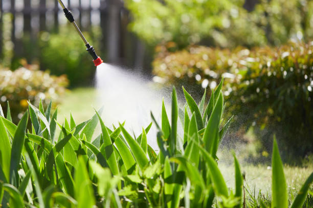 24/7 Emergency Mosquito Control experts in Aquebogue, NY