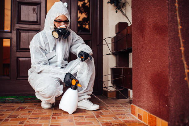 Reliable Mosquito Control contractor in Aquebogue, NY by Show Me Pest Control